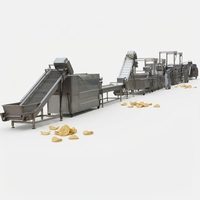 Nieuwe commerciële, goed verkopende, automatische productielijn voor verse aardappelchips en friet voor groenteverwerkingsbedrijven