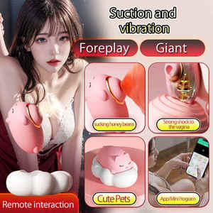 Vibrador de Succión de Silicona Portátil en Forma de Gato para Mujeres, Alimentación USB, Estimulador de Clítoris y Pezones - Product Image 6