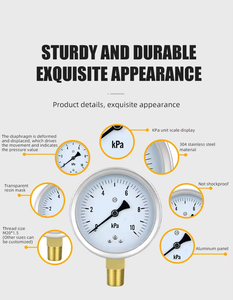 Оптовая продажа промышленный вакуумный мембранный манометр, манометр сухого типа природного газа - Product Image 6