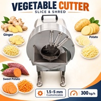 Fabrieksdirect groente snijmachine, schaafmachine en raspmachine voor gember, aardappel, wortel, knoflook, centrale keuken, OEM, ODM, maatwerk
