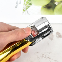Bouchon de bouteille de champagne portable et réutilisable en acier inoxydable de qualité alimentaire, couleur argent, pour vin mousseux