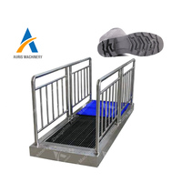 Machine de nettoyage de semelles de chaussures en acier inoxydable pour usage industriel, machine à laver les chaussures portable, machine à nettoyer les baskets