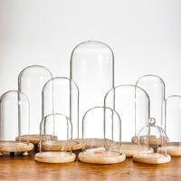 Cloche en verre à motif uni de style nordique avec base en bois naturel pour la préservation florale et la décoration de table