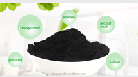 Charbon actif en poudre de bois, adsorbant, agent chimique auxiliaire, 200 mesh, tensioactif, pureté 99,9 % pour la décoloration du diesel