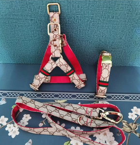 Ensemble laisse et harnais pour chien, articles de luxe pour animaux de compagnie, harnais de promenade réglable en maille, harnais pour chien doux et respirant pour petits chiens - Product Image 3