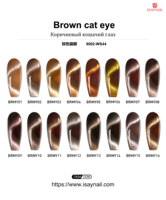 Vernis à ongles gel UV œil de chat brun à haute pigmentation, DIY, de marque, en gros, avec aimant et 16 couleurs
