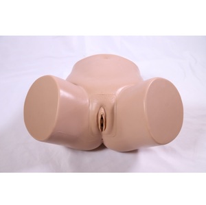 Modelo Avanzado de Cateterización Femenina, Maniquí de Enseñanza y Entrenamiento Médico para Hospitales, Estudiantes de Medicina o Enfermeras - Product Image 1