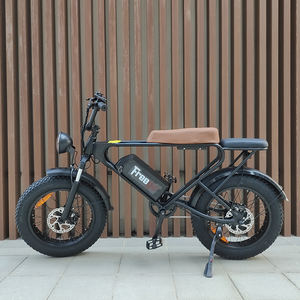 Dk200 Pro Us Warehouse Livraison gratuite Drop Shipping Summer Beach 1200w Vélo hybride pour adultes - Product Image 6