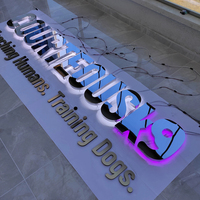 Letras de Canal LED RGB Acrílicas 3D de Nueva Llegada, Letrero Programable para Empresas y Hospitales, Tamaño Personalizable