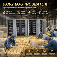Incubateur d'œufs automatique BeYou de qualité commerciale 33792 - Système d'incubation avicole haut de gamme pour usage agricole