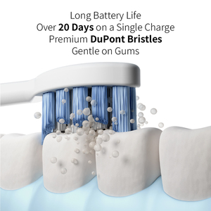 Brosse à dents électrique personnalisée Sonic Rechargeable Brosse à dents usine pour l'hygiène buccale et les soins de beauté - Product Image 2