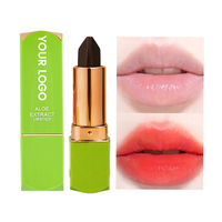 Rouge à lèvres mat à l'extrait d'aloe vera 3,6 g, changeant de couleur selon la température, tendance populaire, maquillage quotidien, OEM ODM, logo personnalisé