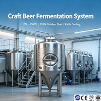 Tanque de Fermentación de Cerveza y Alcohol para Destilería, Acero Inoxidable Sanitario SS304/316L, Fermentador con Control de Temperatura PLC, Certificado CE