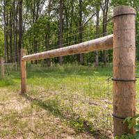 Cerca para Granja de 1.5m Resistente a los Rayos UV para Caballos y Ganado, Madera Tratada Térmicamente, Alambre Eléctrico, Cinta de Polietileno, Aplicación de Seguridad