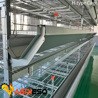 Système de cages à poulets en batterie Agrieso avec collecte manuelle des œufs et du fumier pour l'élevage avicole