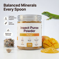 Pâte molle pour reptiles, poudre d'insectes, purée de fruits pour gecko, petit lézard, soutien cutané, enzymes digestives, stimulant d'appétit