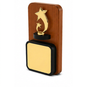 Plaques de trophées étoiles en bois, souvenirs avec plaque gravée pour la reconnaissance sportive et les jeux - Product Image 1