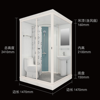 Dosettes de salle de bains modulaires entièrement pré-arrangées, ensemble complet de douche à vapeur