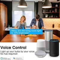 Ampoule LED intelligente certifiée ES pour l'Amérique du Nord, en plastique, avec commande vocale Alexa, RGB-CW, culot E12, pour jardin