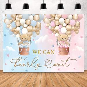 Toile de fond photographique pour révélation du sexe de bébé, thème crème glacée, avec bannière « Quel est le THÈME ? Garçon ou Fille ? », pour fête ou baby shower, fond personnalisable - Product Image 6