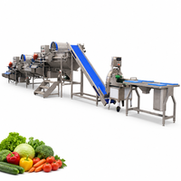 Volledig automatische industriële waslijn voor wortel- en bladgroenten/lijn voor de productie van diepvriesfruit en -groenten