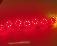 Éclairage LED RVB à pixels 45 mm pour extérieur, type E14, pour manèges de fête foraine, parcs d'attractions et carrousels