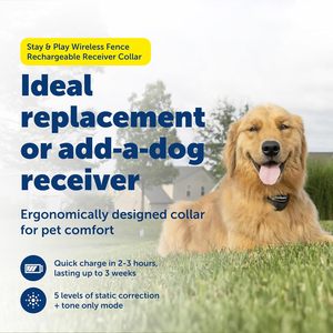 ปลอกคอรั้วไร้สาย PetSafe Stay & Play แบบชาร์จได้ สำหรับสุนัขและแมว สีดำ - Product Image 2