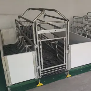 Manufacturer of agricultural livestock equipment pigsty pig farrowing crates