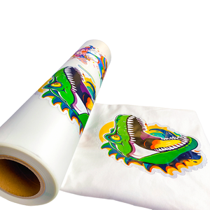 DTF Film High Temperature Endurance Vivid Color for Digital Direct to