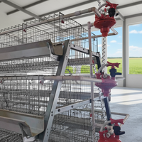 Système d'alimentation automatique pour cages à poules pondeuses QIANQIN, en fil d'acier à faible teneur en carbone, équipement d'élevage avicole, cage en batterie pour poules pondeuses 5+