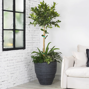 Patrón <span class=keywords><strong>horizontal</strong></span> Planta verde al aire libre Decoración de hotel <span class=keywords><strong>Maceta</strong></span> grande de arcilla de magnesio - Product Image 4