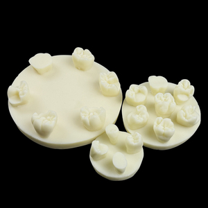 Maniquí Dental en Forma de Disco Relleno de Resina para Prácticas y Exámenes de Estudiantes, Uso Educativo Portátil YOUYA DENTAL MX-121 - Product Image 5