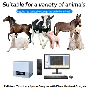 IN-QB200C1 Veterinary Semen Analysis <strong>Microscope</strong> Veterinary Instrument Adjustable Sperm Analyzer Eco-friendly Veterinary Analyzer - Product Image 6
