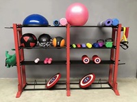 Rizhao Fujian Sports Support de stockage de plaques de poids de qualité commerciale Gym Usage domestique Multifonctionnel Barbell Bumper Plates Storage