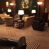 L'étalon-or dans les tapis tissés authentiques Axminster tapis ignifuges d'aéroport de casino à haute durabilité