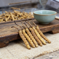 Cordyceps Sinensis Séché Naturel de Qualité Supérieure, Pur, 3 Pièces par Gramme