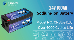 Batería de Iones de Sodio Propow de Larga Duración, 24V 100Ah, Ciclo Profundo, para Uso Marino - Product Image 2
