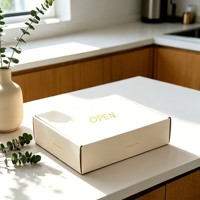 Boîtes d'expédition en carton ondulé recyclables personnalisées avec logo en relief et paillettes, forme avion, fermeture magnétique, pour usage domestique, vente en gros