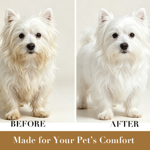 High Quality Odor Eliminator Alcohol Free Smoothing Anti-Odor Dog Coat Finishing Fur Pet Grooming Cologne <b>Spray</b> - Product Image 2