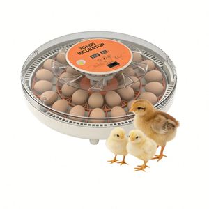 Incubateur automatique pour 30 œufs, contrôle numérique de la température et de <span class=keywords><strong>l</strong></span>'humidité, machine d'éclosion des œufs de volaille pour poulets, canards, cailles - Product Image 1