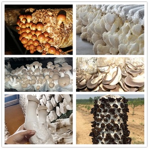 Olla de Esterilización a Vapor Estéril para Productos Nuevos de 2024, Autoclave para Hongos con el Mejor Precio - Product Image 6