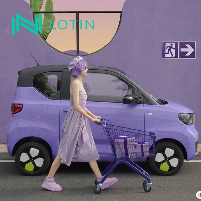 Macaron à la lavande