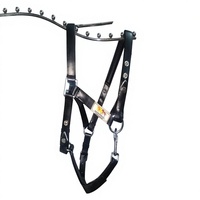 Bridon d'endurance pour cheval en PVC de qualité supérieure, rembourrage en cuir souple, confortable, imperméable, produit équestre anatomique