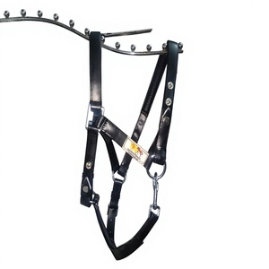 Brida de Resistencia para Caballo de PVC de la Mejor Calidad, Acolchado de Cuero Suave, Cómoda, Impermeable, Producto Ecuestre Anatómico - Product Image 2