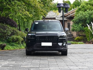 Nuevo Zeekr 9X 2025, SUV de Lujo, Vehículo Eléctrico de Alta Gama con Conducción Inteligente, Auto de Nueva Energía Premium - Product Image 2