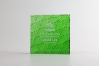 Trophée en cristal personnalisé K9, fait main, écologique, couleur verte, plaque vierge, coffret cadeau pour la décoration intérieure et les concours