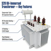Transformateur de puissance immergé dans l'huile Wanbo-486 S20 à noyau en alliage amorphe, à perte ultra-faible, avec enroulement en cuivre ONAN, 10kV 35kV