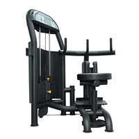 Machine d'exercice pour le dos, équipement de gym pour les muscles lombaires, prix d'usine