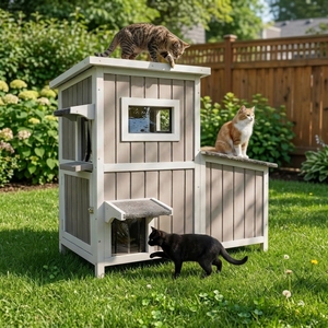 Outdoor House for 2-3 <b>Small</b> Cats 2-Story Weatherproof Fir Wood PVC Feeding Station Openable Roof 3 Rooms - Product Image 1