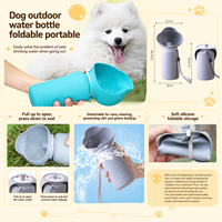 Nouveau produit transfrontalier : Gamelle et abreuvoir pliables en silicone pour chien, idéales pour les voyages en extérieur